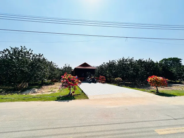 🔥 ĐẤT VƯỜN GIÁ “MỀM” – CƠ HỘI GIỮ TIỀN & ĐẦU TƯ DÀI HẠN 🔥