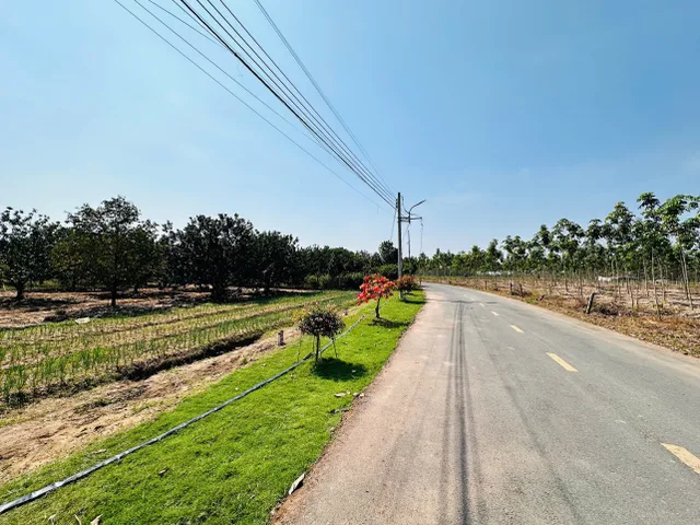 Chủ Ngợp Cần Bán Hàng Gấp