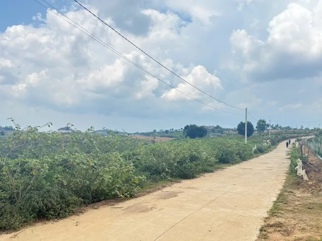 Bất đồng quan điểm với anh trai dọn ra ngoài đành bán 5 Sào Giáp Hồ Chỉ 230tr