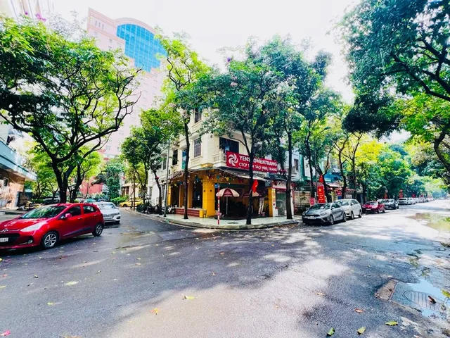 🚨 Cắt Lỗ Sâu! Biệt Thự KĐT Mỹ Đình 115m2, MT 12M, Chủ Bán Gấp Chia Tài Sản Cho Con – Giá Chỉ Hơn 30 Tỷ.