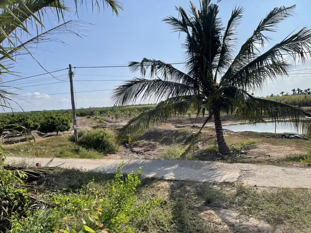 Bán đất 12000m² ngang 50m giá 120 triệu tại Xã Cù Lao Dung