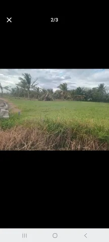 Đất CLN, đường đất xe ben, có mương hướng nam