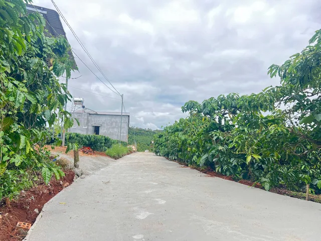 Cần bán lô Đinh lạc chỉ 1ty2, 221m2 gần QL20