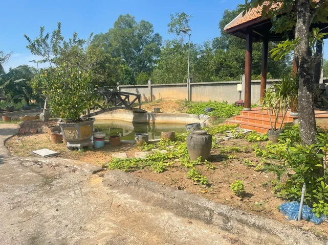 1000 m2 long phước quận 9 giá bán 12 ti