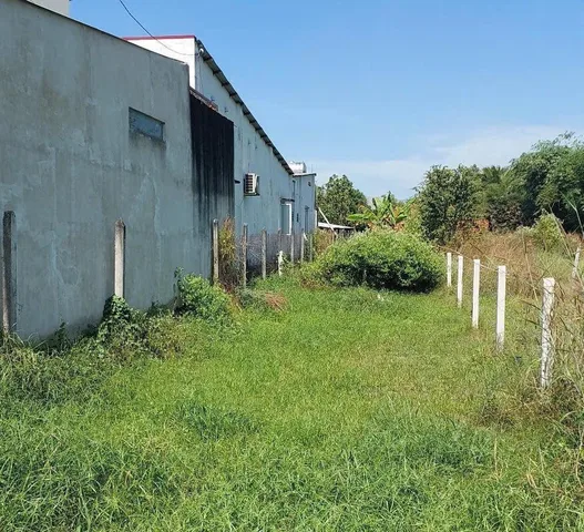 Cắt lỗ 277m2 đất thổ cư đường nhựa 15m, ngay cạnh chợ An Linh, sổ sẵn, dân cư đông giá 580tr