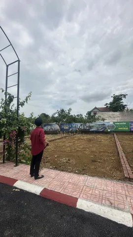 🏡 Đất đẹp gần Hoà Lạc – vị trí tiềm năng tại Nắng Hạ – Hoà Thạch – Phú Cát.