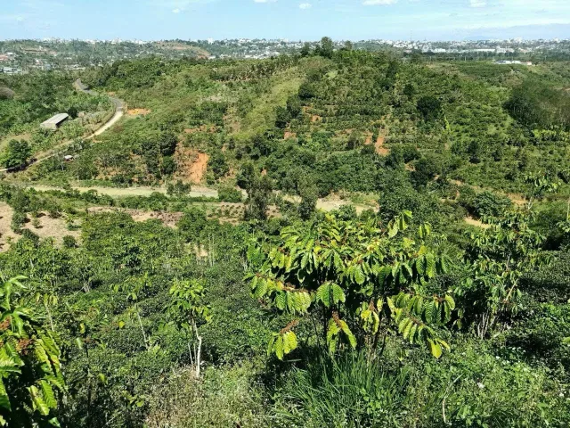 Vợ chồng Bác chia tay chia tài sản nên bán Lỗ 1.5 HA View Đồi Ven Đà Lạt