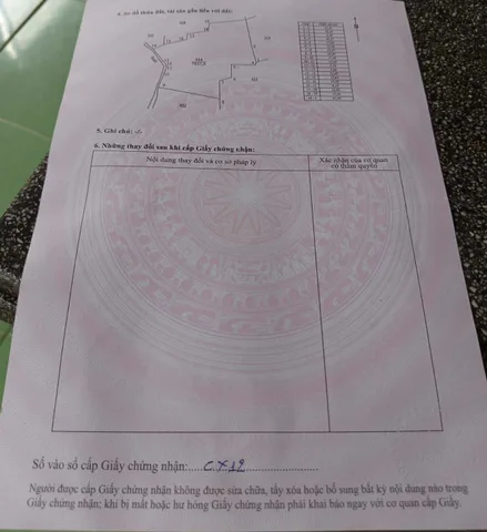 ĐẤT SÀO GIÁ RẺ.
