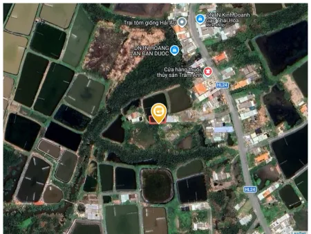 Bán đất 300m² ngang 20m giá 309 triệu tại Xã Cần Đước