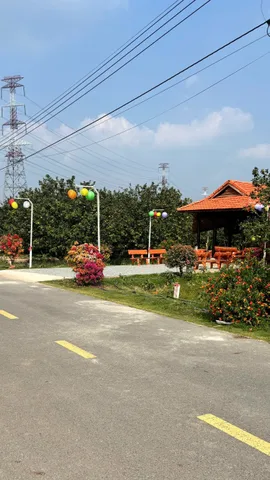 cần bán gấp lô đất 1.1 sào gần trường THCS Trừ Văn Thố, Bàu Bàng
