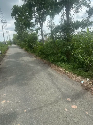 Bán đất 1000m² ngang 15m giá 6 tỷ tại Xã Tân Nhựt