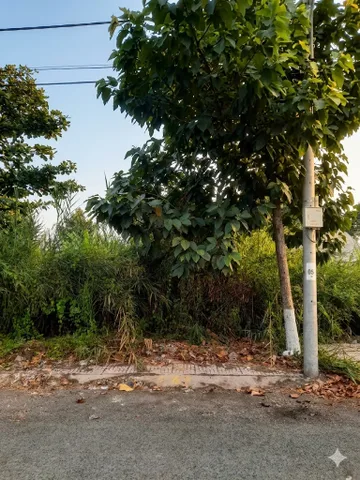 VL1-99 | 📐 87,6m² | 🧭 Bắc | 💰 1,2 tỷ
