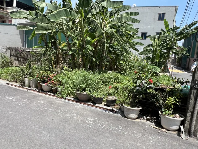 BÁN ĐẤT ĐỨC GIANG LONG BIÊN 60M² LÔ GÓC VIEW HỒ - KINH DOANH ĐỈNH, Ô TÔ ĐỖ NGÀY ĐÊM🚗