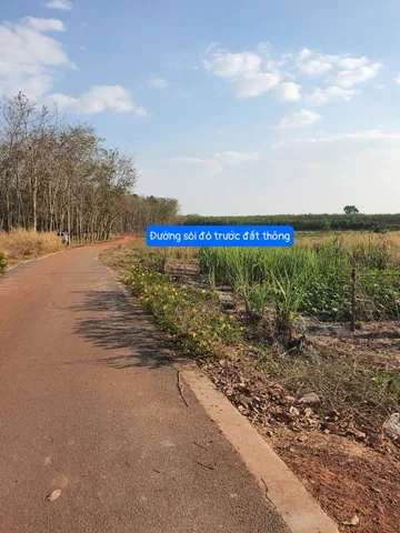 Bán đất 250m² có sẵn 100m² thổ cư ngang 5m giá 439 triệu tại Xã Dầu Tiếng