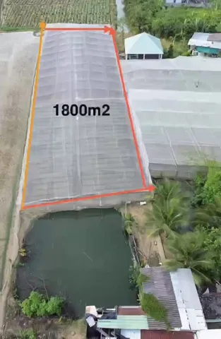 Bán đất 1808,1m² ngang 20m giá 542 triệu tại Xã Tân Đông