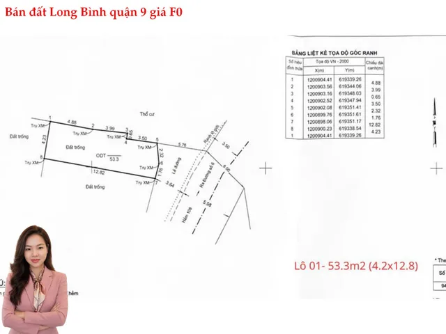 Bán đất 50.5m² có sẵn 50,5m² thổ cư ngang 4m giá 3.18 tỷ tại Phường Long Bình