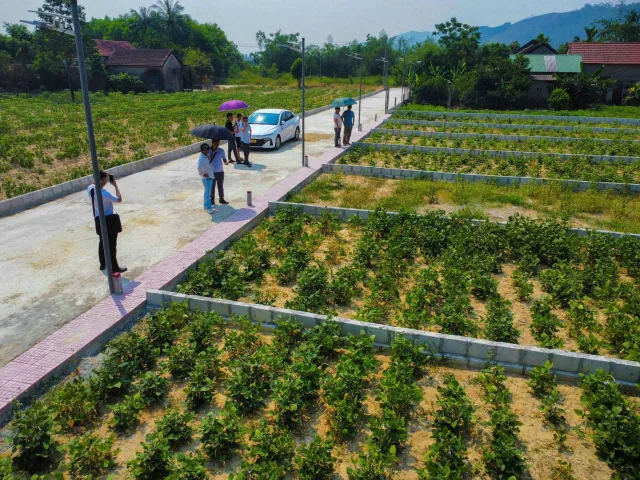 Block Đất Nền Mới Kim Trà – Giá 470 Triệu/Lô – Sổ Hông Riêng - Đất Cao Ráo