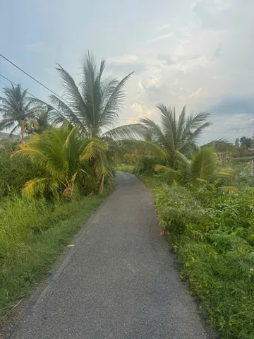 Đất Thổ cư Tháp Mười