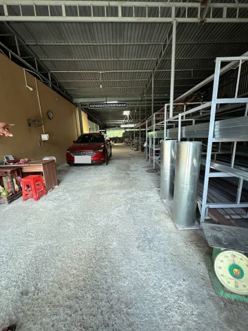 Cho thuê kho xưởng 1500m2 (kho xây 800m2) có điện 3 pha tại Bến Tre