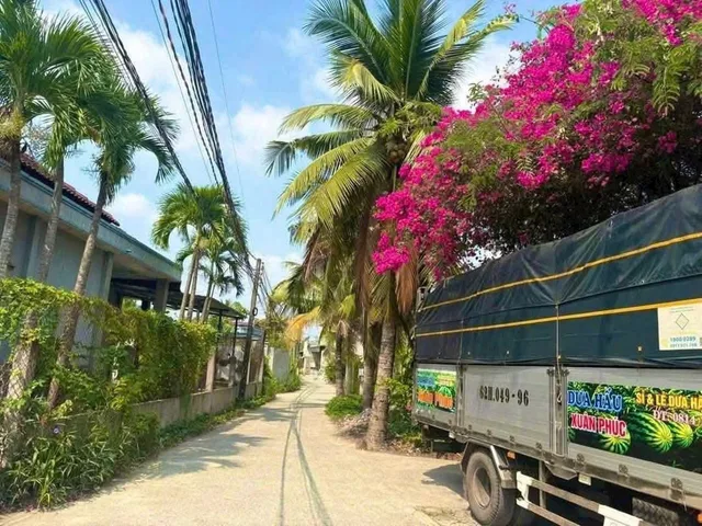 Nền trần thế sinh thị trấn bến lức long an