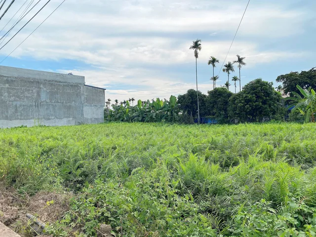 05.2026.Bán đất 111m² full thổ cư ngang 5m giá 2.55 tỷ tại Xã An Trường( Trường Thành). liên hệ 0362558882