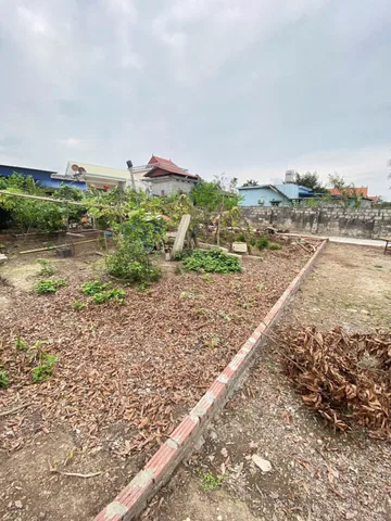 💥An sơn Dt .150 m ngang 10 
👉Mà giá chỉ hơn 600
🚕Ngõ ôtô morning vào tận đất 
💴Giá đang rẻ nhất thị trường hiện tại ạ . Xây biệt thự quá tuyệt với không gian rộng , trong lành . 
☎️LH:0898266583