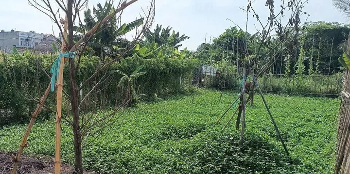 Khu Dân Cư Ấp 21, xã Bình Mỹ ô tô thông, 8,5x12,5m xây ở liền.