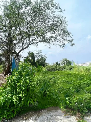 🔥 LÔ ĐẤT ĐẸP HỒ HỌC LÃM NỞ HẬU – ĐƯỜNG NHỰA 10M – NHỈNH 6 TỶ 🔥 (G42)