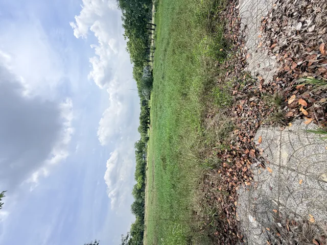 Bán đất 950m² full thổ cư ngang 25m giá 47 tỷ tại Phường Phước Tân