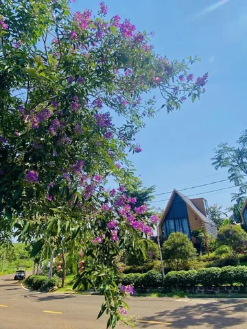 chính chủ bán đất nghỉ dưỡng view hồ liền kề đồi che tâm châu sổ sẵn