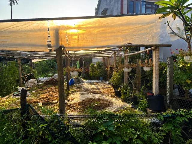 🏡 CHỦ GIẢM CHÀO 200TR – ĐẤT CẨM CHÂU GIÁ TỐT CHO NHÀ ĐẦU TƯ HỘI AN 🌿