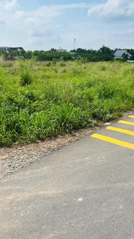 Đất sào rộng 1600m, mặt tiền đường nhựa 8m, có dân cư xung quanh, phù hợp làm nhà xưởng