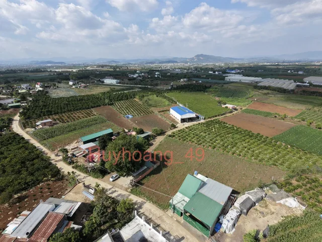 Bán đất 131m² có sẵn 72m² thổ cư ngang 5m giá 480 triệu tại Đường Lê Hồng Phong Xã Tân Hội