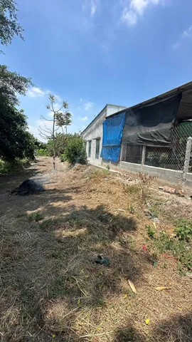 Đất Củ Chi: 5 x 22m - sổ hồng riêng - Full thổ - đường xe hơi  - gần chợ Phú Hòa Đông, Chỉ: 1,55 tỷ