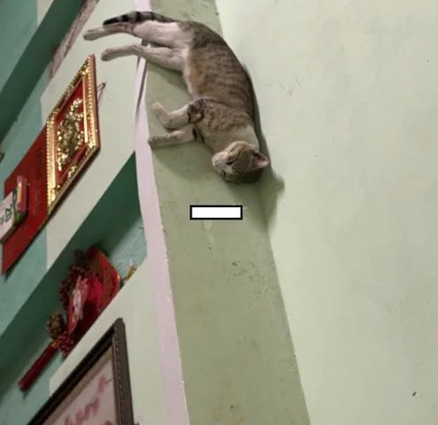 Bán nhà kiệt Lê Độ trung tâm 📌📌📌LÀM VIỆC TRỰC TIẾP GIÁ TỐT !!!