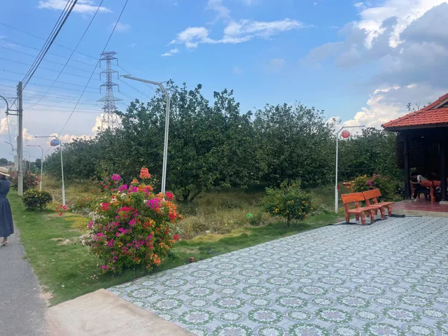 ĐẤT 2.000M² MẶT TIỀN 17M. XÂY XƯỞNG - KHO BÃI - DÃY TRỌ. SỔ HỒNG CÔNG CHỨNG NGAY. BÀU BÀNG NAY LÀ TRƯỜNG VĂN THỐ - TP.HCM