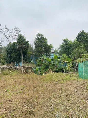 Đất đẹp