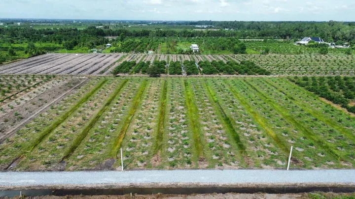 Đất đầu tư, xây nhà vườn, trang trại, nhà xưởng