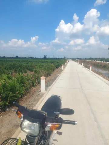 Bán đất 2353m² ngang 30m giá 4.5 tỷ tại Xã Bình Lợi