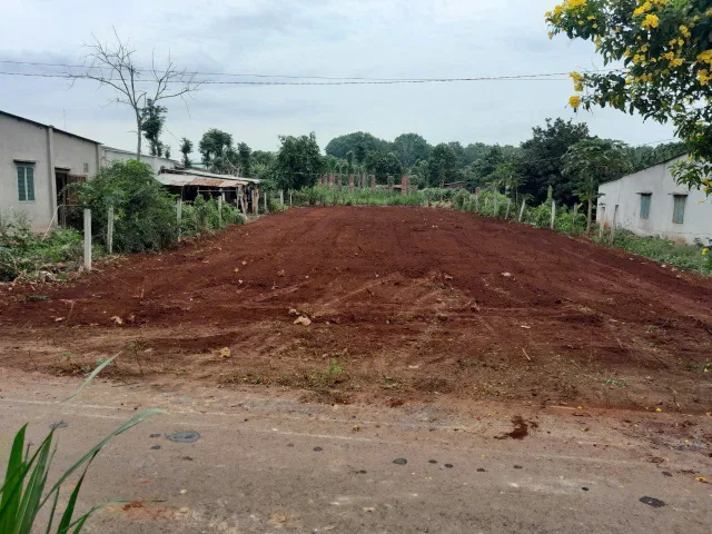 BÁN GẤP 424M2 ĐẤT VƯỜN SIÊU ĐẸP GẦN CHỢ LONG TÂN – ĐẤT ĐỎ, BRVT