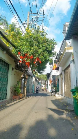 BÁN NHÀ MẶT TIỀN ĐƯỜNG ĐINH CỦNG VIÊN, PHƯỚC LONG A - 56m2 - GIÁ 4.25 TỶ TL