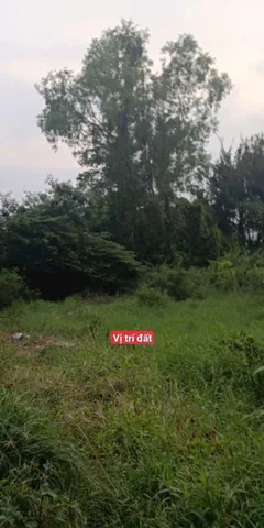 Bán đất 172m² có sẵn 143m² thổ cư ngang 5m giá 3.7 tỷ tại Xã Hưng Long