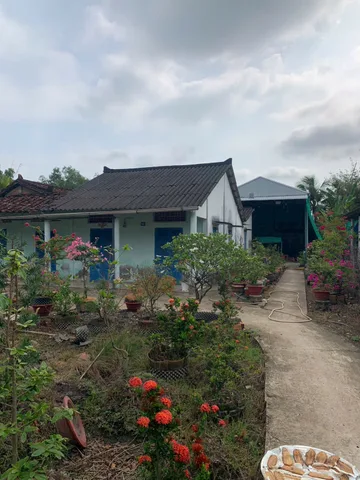 Nhà vườn 1.152m2 phước toàn mỹ yên cách bình 4km