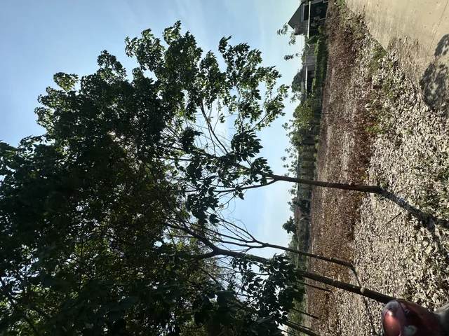 BẤT ĐỘNG SẢN PHÚ GIÁO BÌNH DƯƠNG❤️‍🔥❤️‍🔥