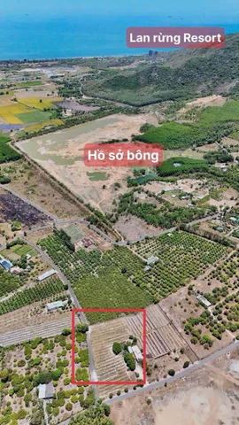 274M2 NGANG 170 đất thị trấn Phước Hải, cách biển 4p đi xe. Chủ ngộp 1ty749 bớt lộc