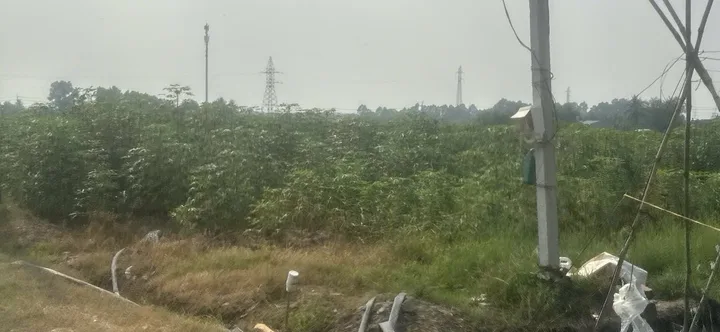 Bán đất 1700m² ngang 37m giá 2.6 tỷ tại Đường Kênh Đông Xã Hậu Thạnh