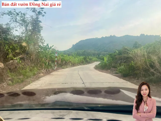 Bán đất 5000m² ngang 48m giá 1.75 tỷ tại Xã Gia Kiệm