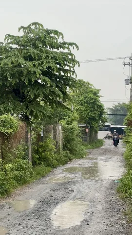 bán gấp lô đất sổ hồng ngay ngã 3 mỹ hạnh đường tỉnh lộ 9 mỹ hạnh bắc