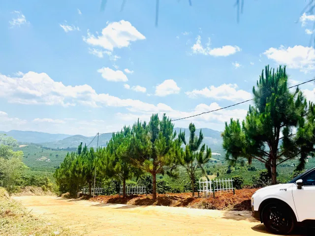 Bán Đất Nhà Vườn View Thông Lâm Hà Lâm Đồng – Có Thổ Cư | Không Gian Nghỉ Dưỡng Xanh Mát