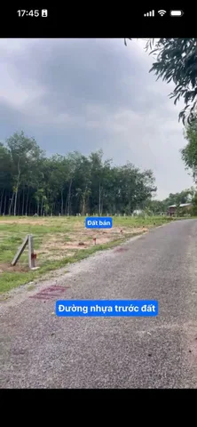 Bán Đất Mặt Tiền Đường Nhựa Trung Tâm Dầu Tiếng – 267,9m² Có Thổ Cư | Giá Chỉ 668 Triệu